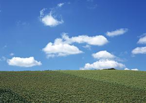 静岡市葵区の家族葬を安心・低価格で実現！家族葬のタクセル長沼の魅力と特徴