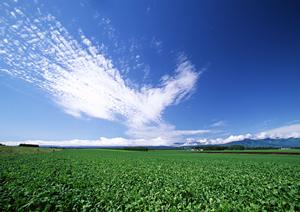 【公式】さがみ典礼 大田原若松町｜栃木県の葬儀・家族葬対応実績No.1の葬儀場情報