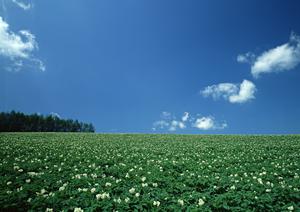 とても利用しやすい瑞穂斎場について