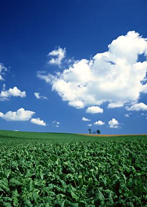 静岡県菊川市の信頼と実績を誇る富士葬祭 菊川：家族葬から一般葬まで対応可能な葬儀場の詳細解説