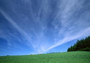 徳島でおこなえる家族葬の魅力とは