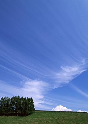 安心して任せられる！さいたま市の葬儀プランと料金の徹底ガイド