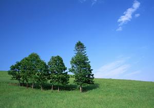 自分たちに合ったスタイルでの供養