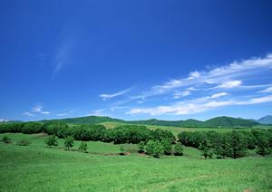 【静岡県藤枝市の家族葬・葬儀場｜富士葬祭 藤枝】安心の葬儀サービスを提供