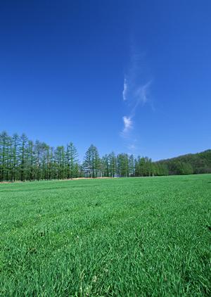 静岡県富士宮市における家族葬専門の斎場「家族葬のタクセル光町」詳細ガイド