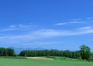 静岡県の家族葬と火葬を低価格で実現！家族葬のタクセルが提供する安心と信頼の葬儀サービス