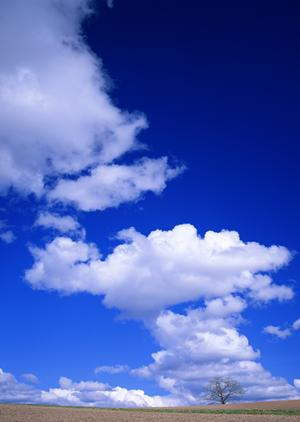 静岡市の信頼と安心を支える葬儀場【富士葬祭 唐瀬】｜家族葬・一般葬対応の施設紹介