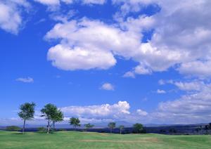 神奈川の霊園選び完全ガイド：立地、価格、バリアフリーのポイントを徹底解説