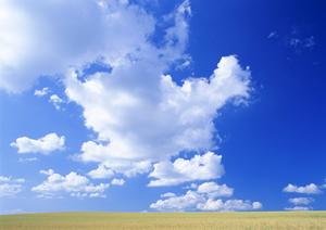 低予算で家族葬ができるサービス