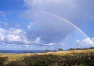 法事の返礼品を通販で購入できるショップ