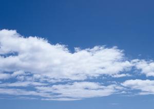 静岡市で低価格・安心の家族葬・火葬サービスを提供する「家族葬のタクセル」の全て