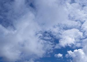 ペットの葬儀を心をこめて行います