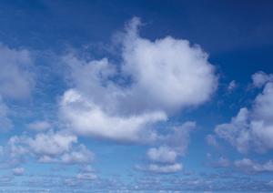 洋風な家にも自然と馴染むモダン仏壇