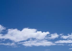 栃木市で安心・信頼の葬儀を提供するさがみ典礼 栃木昭和町：特徴・サービス内容・アクセス情報の徹底解説