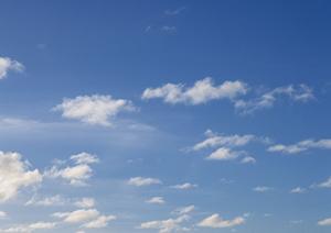 仏壇の破損は仏壇クリーニングが便利