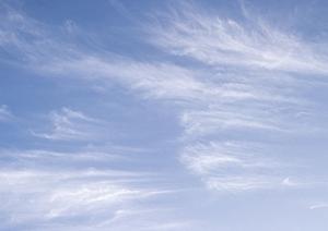 島田市で永代供養ができる医王寺