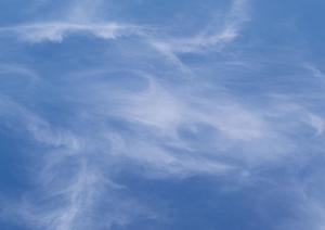 法事の参列者に渡す手土産も充実