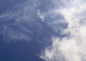 永代供養ならこちらの霊園がいいです