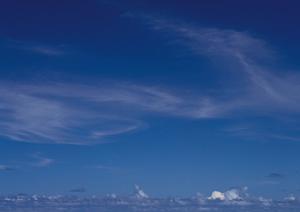 新しいお墓の形を提案する浅草浄苑