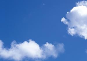 高品質な墓石を取り扱う会社は安心