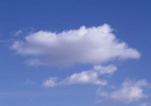 鹿児島の葬式は鮫島商事株式会社にお任せ