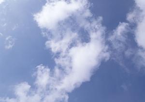 安心して任せられる尾鷲市の墓じまい