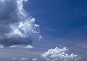 希望の斎場を案内してもらうことができる