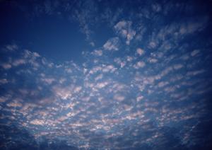 中央区で理想の葬儀をしませんか