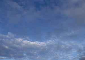 魅力あふれる藤枝市の納骨堂について