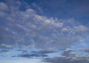 静岡県浜松市の家族葬専門斎場【家族葬のタクセル佐鳴台】徹底解説?特徴と利用メリットを詳しく紹介