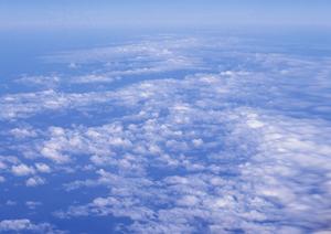 簡単に葬儀社を比較検討したいのなら